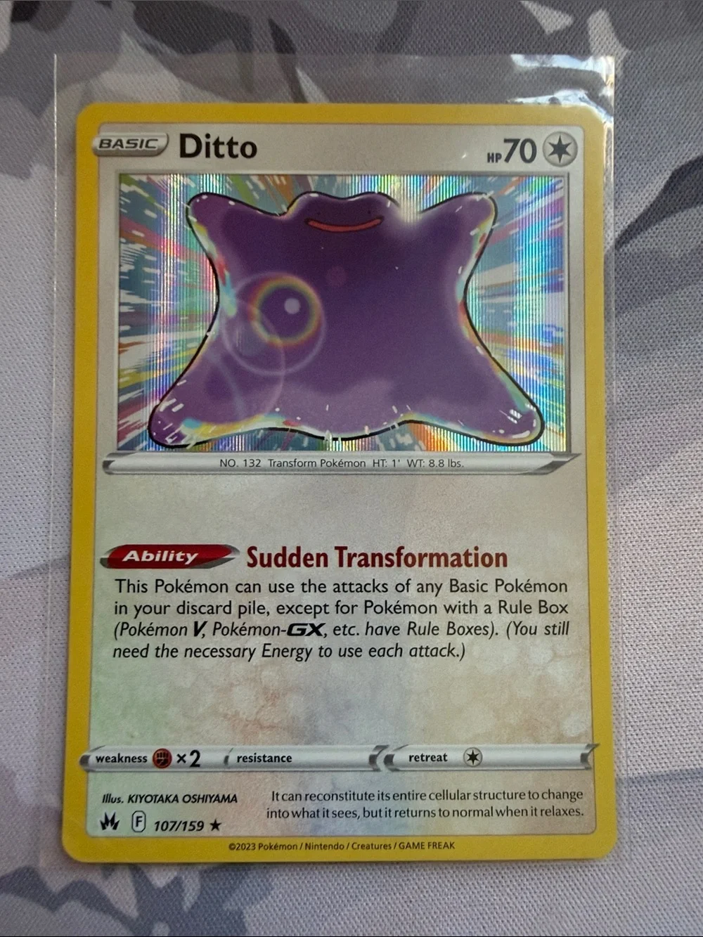 Pokemon fun ditto